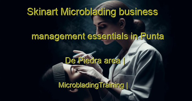 Skinart Microblading business management essentials in Punta De Piedra area | MicrobladingTraining | MicrobladingClasses | SkinartTraining-Dominican Republic